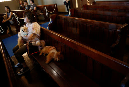 A visitor with her pet dogs attend a demonstration of pet funeral services at the Pet Rainbow Festa, a pet funeral expo targeting an aging pet population, in Tokyo, Japan September 18, 2017. REUTERS/Kim Kyung-Hoon