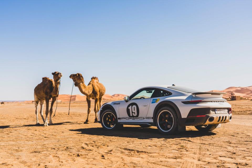 <p>Most people who visit Erg Chebbi are interested in taking a camel ride, but we liked our chariot better. </p>