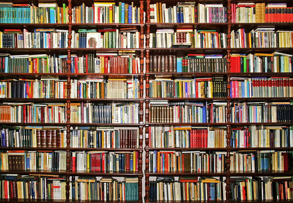 Whole big wall covered with lot of books