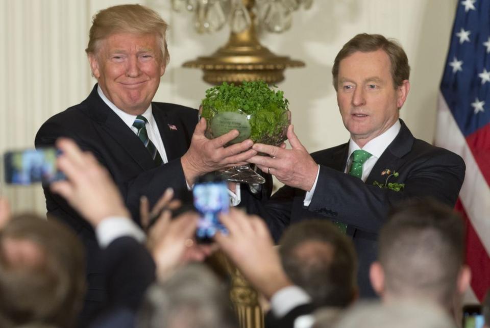 A bowl of shamrocks