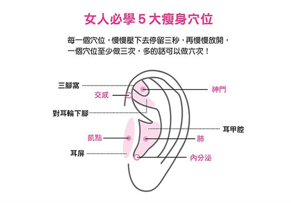 適度揉按下列位於耳周的穴位5大穴位，就是使身體淋巴液暢通、代謝率提升，打造出纖瘦體質的好方法。（圖片／出色文化提供）