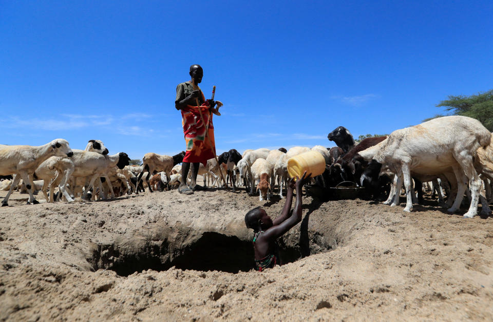 Loudi Lokoriyeng' from the Turkana pastoralist community affected by the worsening drought due to failed rain seasons, watches while his goats drink water as Tina Ekiro collects water from an open well dug on a dry riverbed in Loyoro village of Kalokol in Turkana, Kenya September 28, 2022. REUTERS/Thomas Mukoya