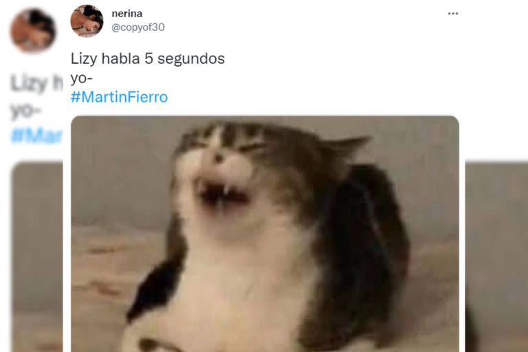 Los memes sobre Lizy no escatimaron (Captura Twitter)