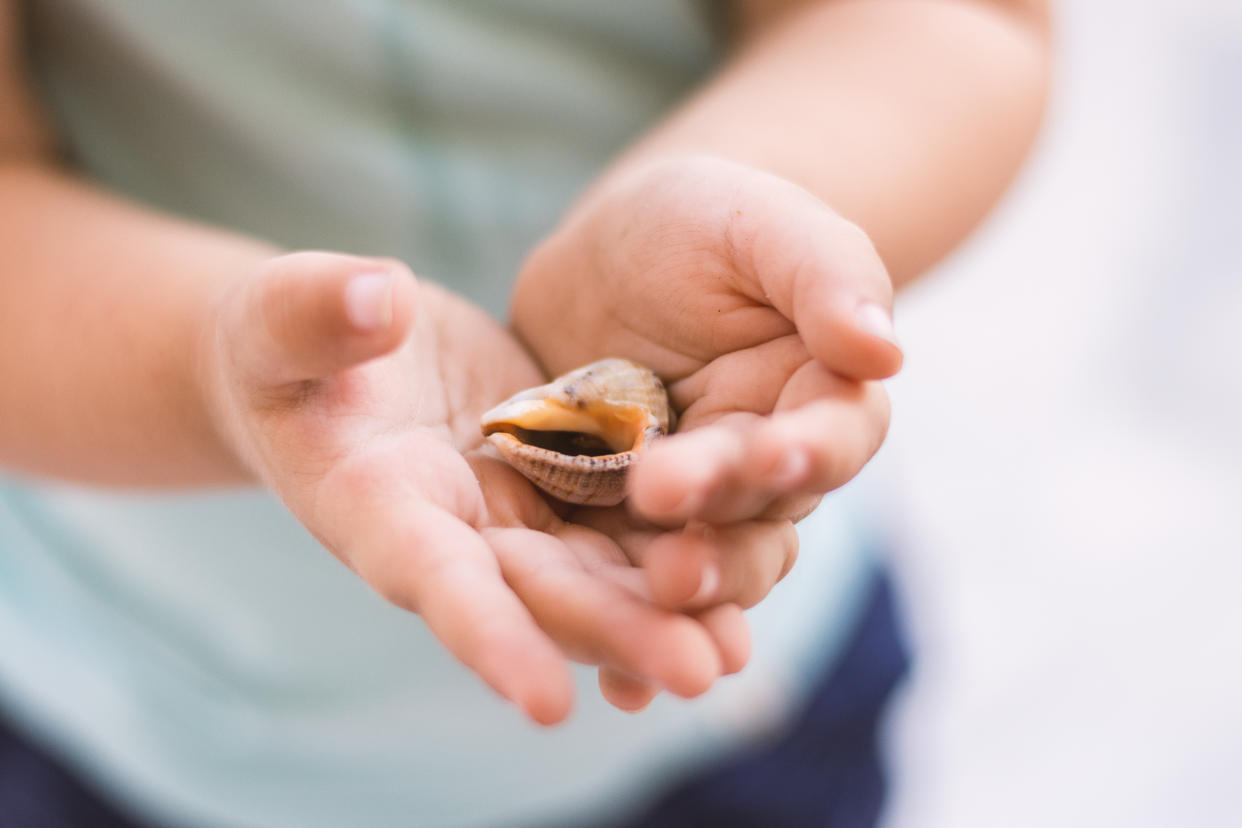 Hände mit Muscheln