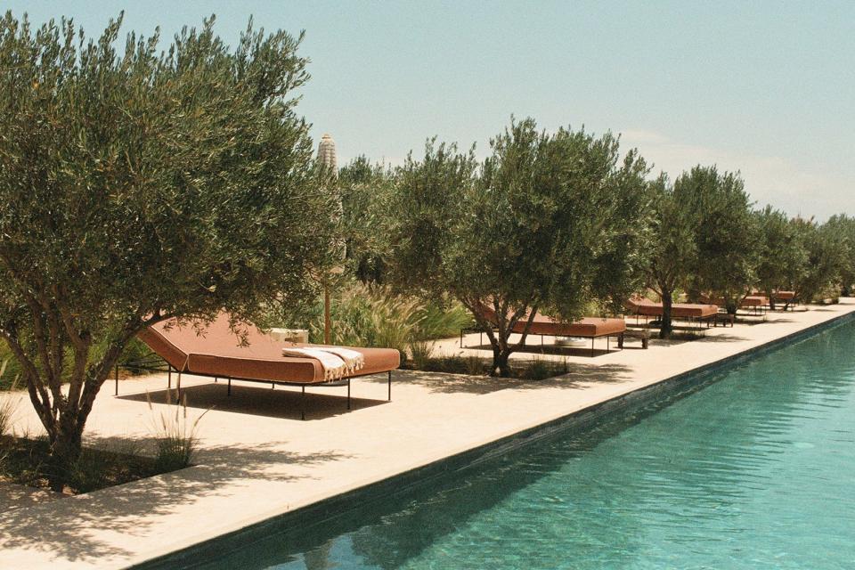 pool in the desert