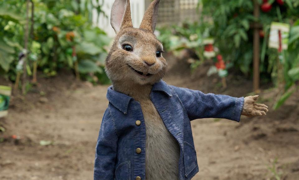 peter-rabbit.jpg