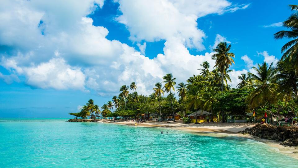 Sandy beach and palm trees of Pigeon Point, Tobago, Trinidad and Tobago, Caribbean