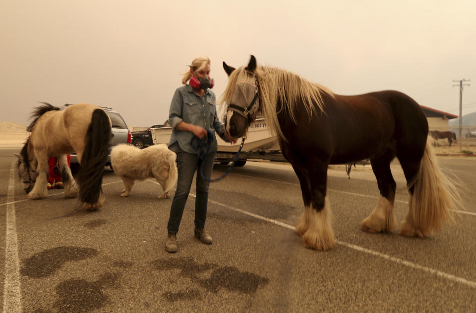 Marty Cable is one of dozens of horse owners who evacuated her home in Encinal Canyon to bring their animals to an evacuation area at Zuma Beach in Malibu on Friday. (Photo: ASSOCIATED PRESS)