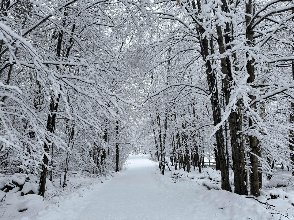 Snow falls on a back road in Marshfield, Vt., Monday, Dec. 11, 2023. (AP Photo/Lisa Rathke)