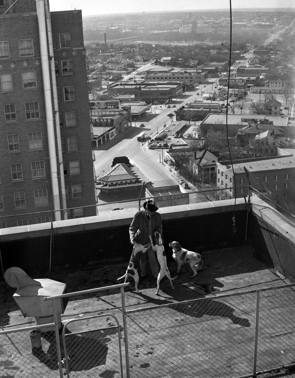 Feb. 9, 1947: The Worth Hotel provides a kennel for dogs belonging to guests in a fenced area on the roof. Jack Farrell, manager of the Worth, is shown visiting the dogs. The two pointers belong to Mr. Farrell while the setter is a guest.