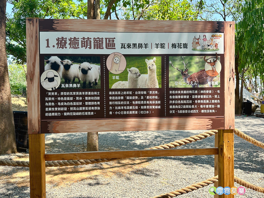 嘉義咩咩上樹萌寵樂園