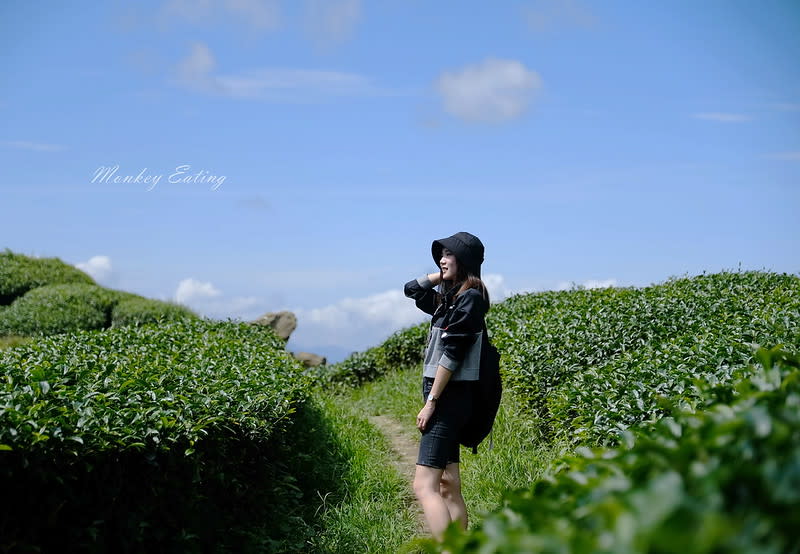 嘉義阿里山｜二延平步道