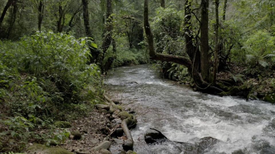 Río Magdalenta que se encuentra dentro de Parque La Cañada. Foto Cortesía.