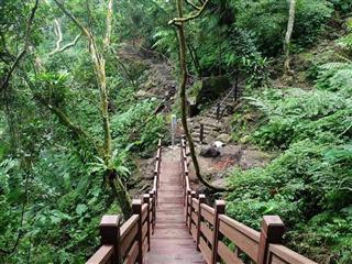 五指山步道（圖片來源：新竹縣旅遊網）