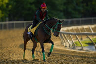 Preakness Stakes entrant Chase the Chaos works out ahead of the 148th running of the Preakness Stakes horse race at Pimlico Race Course, Thursday, May 18, 2023, in Baltimore. (AP Photo/Julio Cortez)