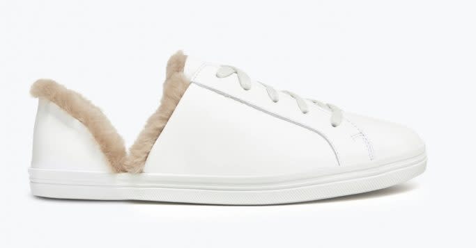 Freda Salvador Sneaker