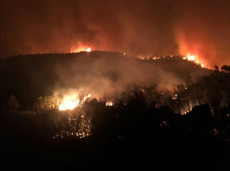 Fire is seen in El Jebel, Colorado, U.S., July 4, 2018 in this picture obtained from social media. Picture taken July 4, 2018. Kim Doyle Wille/via REUTERS