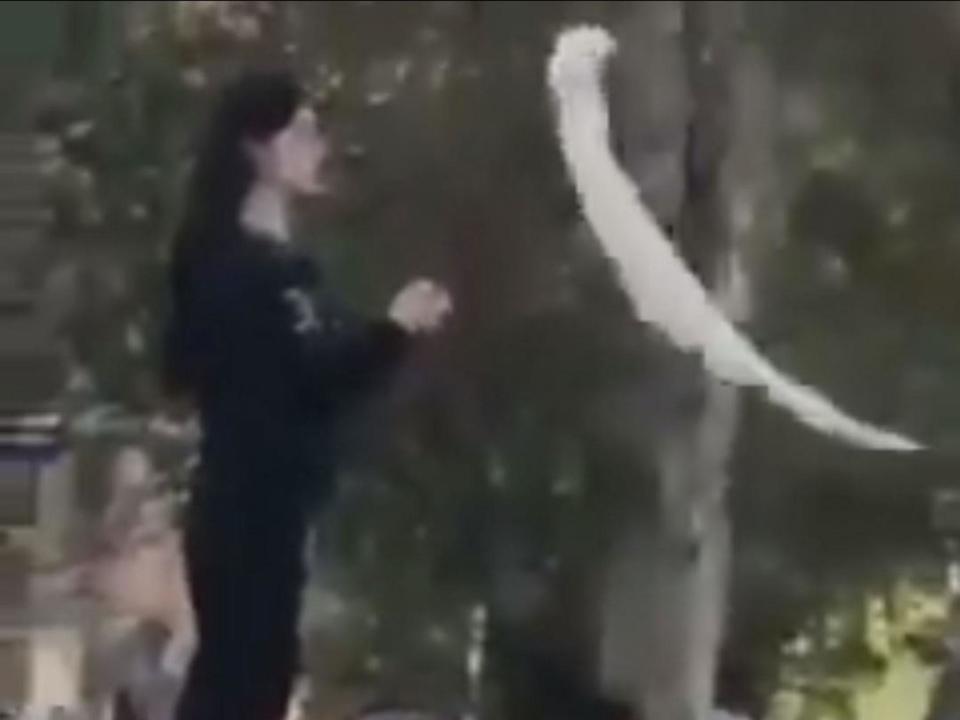 Girl of Enghelab Street: Iranian woman who stood in Tehran street without a hijab released from custody, says lawyer