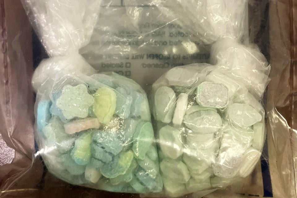 Drugs seized in the operation. (Georgia Dept. of Corrections)