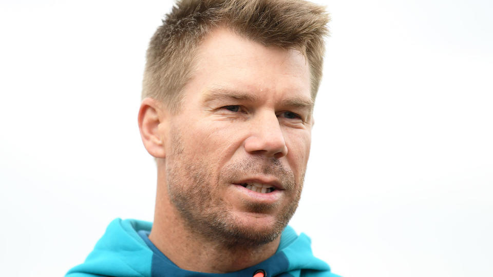 Seen here, Aussie cricket star David Warner.