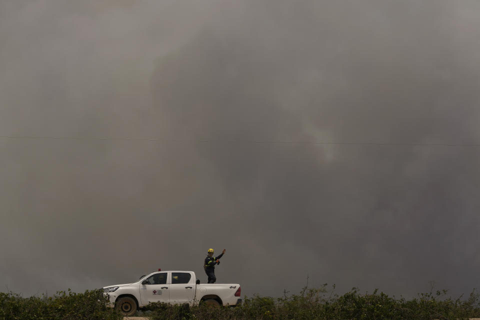 A veterinarian looks for injured animals in an area consumed by wildfires near the Transpantaneira, also known as MT-060, a road that crosses the Pantanal wetlands, near Pocone, Mato Grosso state, Brazil, Thursday, Nov. 16, 2023. (AP Photo/Andre Penner)