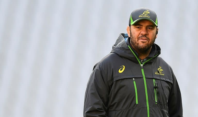 Michael Cheika has coached the Wallabies since 2014