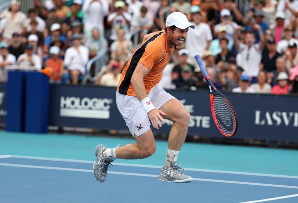 Andy Murray screamed out in pain after suffering the injury (Getty Images)