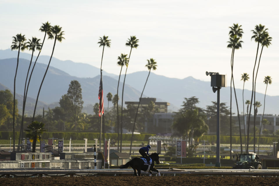 A horse runs during a morning workout ahead of the Breeders' Cup horse race Wednesday, Nov. 1, 2023, in Arcadia, Calif. (AP Photo/Ashley Landis)