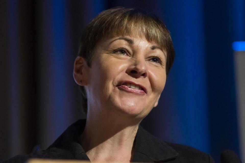 Caroline Lucas has been leading calls for the alliances (Getty / Jack Taylor)