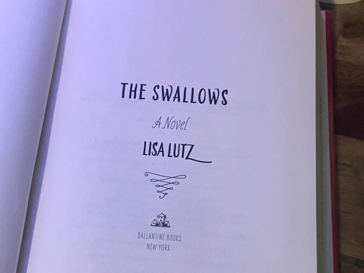 "The Swallows," by Lisa Lutz is one of the books Augusta County Public Schools has removed from its shelves after being challenged.