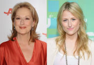 <b>Mamie Gummer</b><br> <b>Famous Mom:</b> Meryl Streep<br><br>Mamie Gummer might not be a household name (yet) but her mom, Meryl Streep, sure is. The 28-year-old, currently guest starring in multi-episode arcs as a lawyer on CBS's "The Good Wife," has been cast as the lead in the new CW series “Emily Owens, M.D."