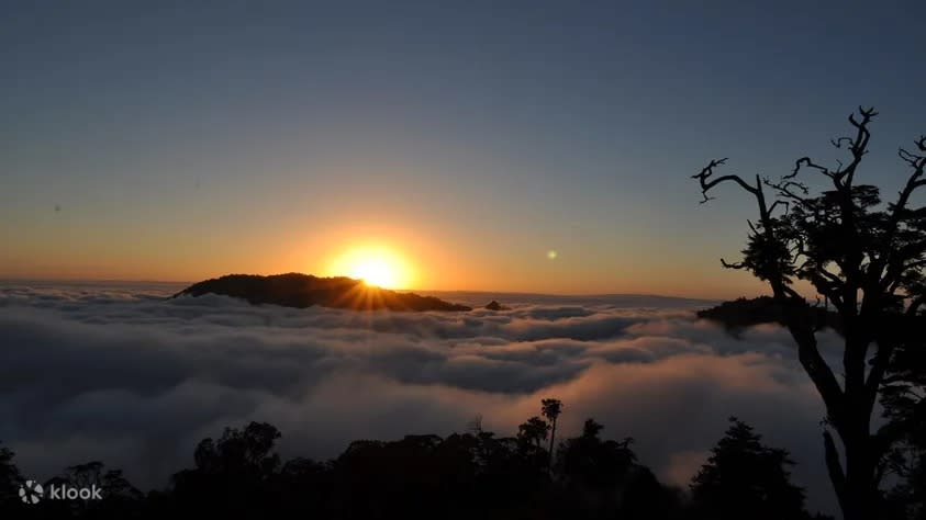 Dasyueshan National Forest Recreation Area Ticket in Taichung. (Photo: Klook SG)