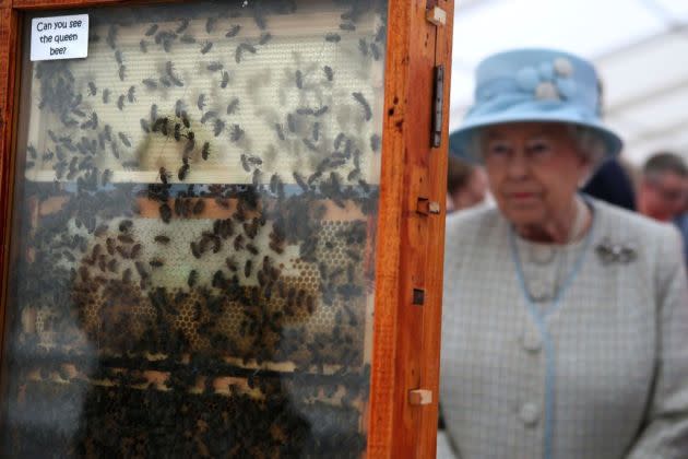 Queen visits 150th Anniversary Turriff Show - Credit: PA Images via Getty Images