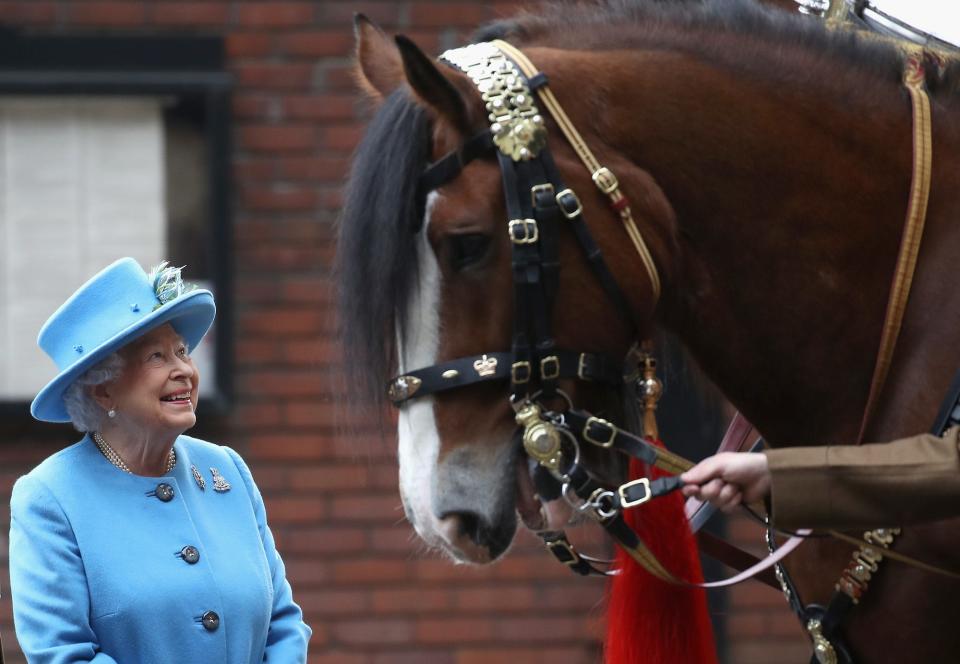 queen with horse