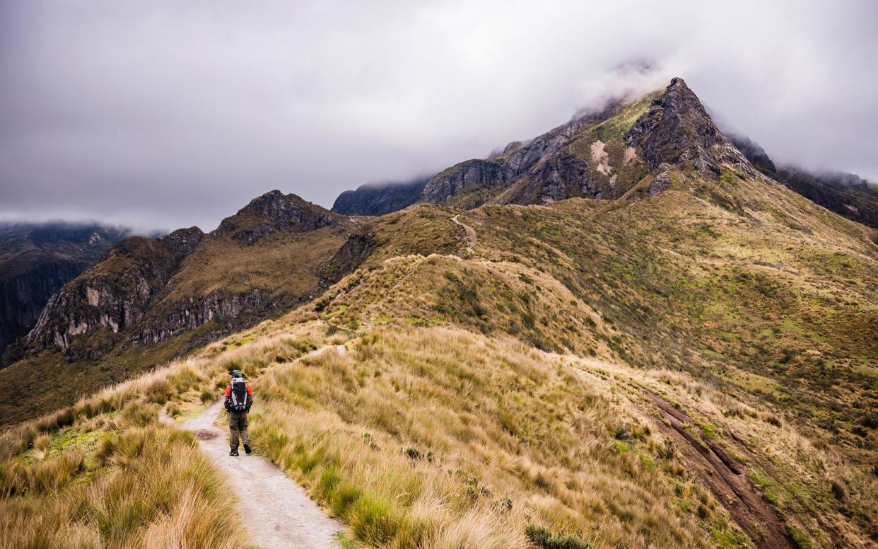 Hiker trekking Rucu Pichincha Volcano, Quito, Pichincha Province, Ecuador, South America