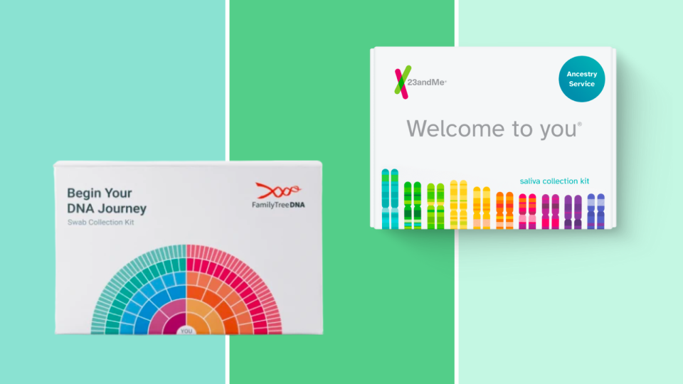 Invest in a DNA kit to learn more about your family's origins.