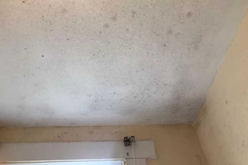 Damp and mould is eating away at the bathroom.