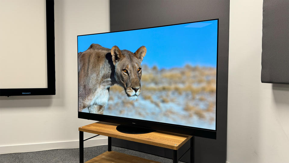 OLED TV: Panasonic TX-65MZ2000B