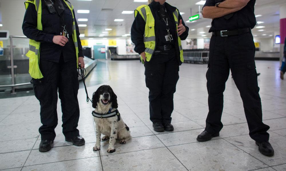 <span>Photograph: Oli Scarff/Getty Images</span>