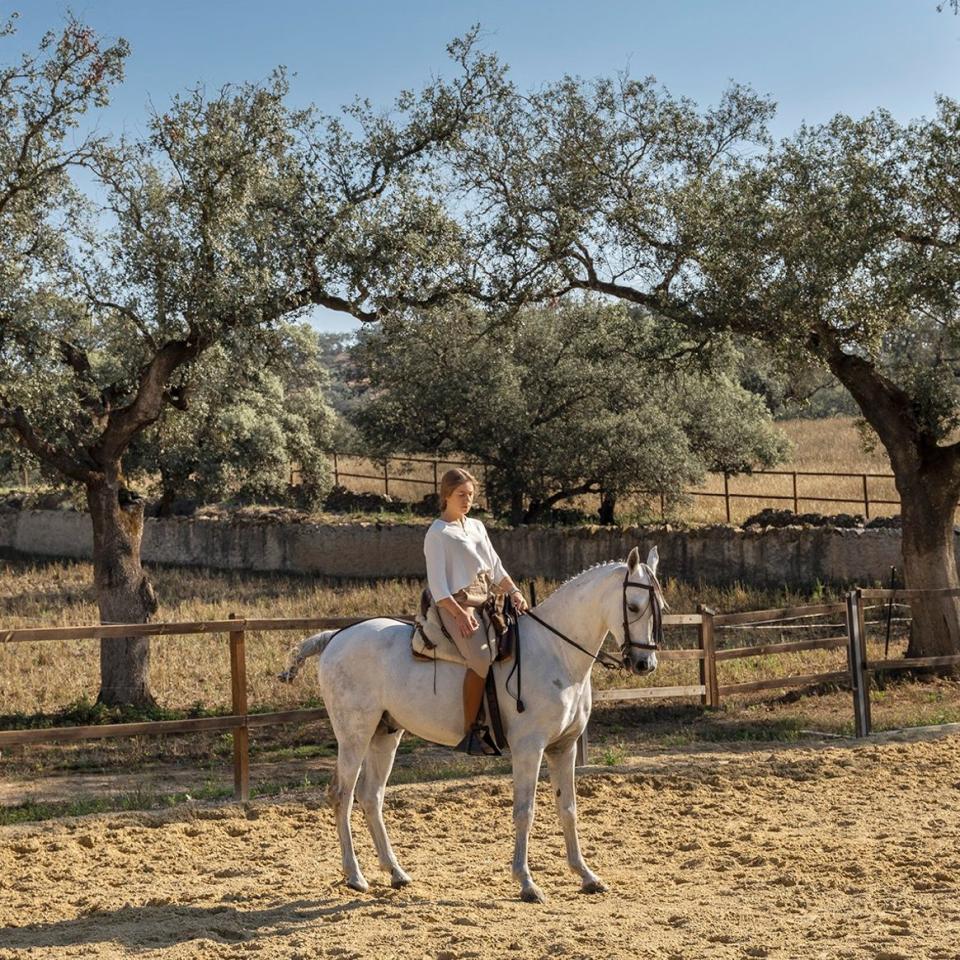 Caballo de Hierro