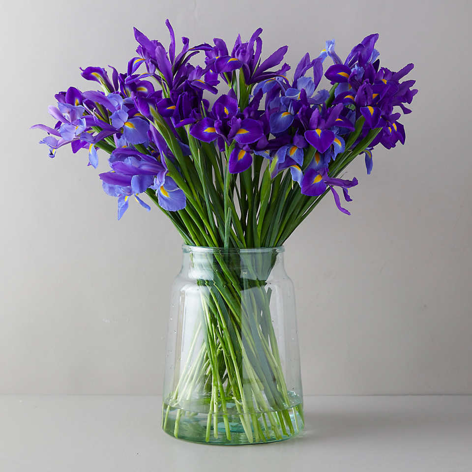 Terrain offers only a few bouquets, but (surprise, surprise) they’re all showstoppers. We especially appreciate this bunch of irises, which stands apart as a simpler option than other Mother’s Day flowers. It’s giving <a href="https://www.glamour.com/story/what-is-the-coastal-grandmother-aesthetic-tiktok-trend?mbid=synd_yahoo_rss" rel="nofollow noopener" target="_blank" data-ylk="slk:coastal grandmother" class="link ">coastal grandmother</a> in the best way. $98, Fresh Iris Bunch. <a href="https://www.shopterrain.com/products/fresh-iris-bunch" rel="nofollow noopener" target="_blank" data-ylk="slk:Get it now!" class="link ">Get it now!</a>