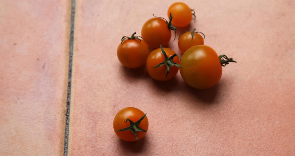 If you don't have a lot of space, opt for a smaller tomato variety, like cherry.  (Rose Langbein)