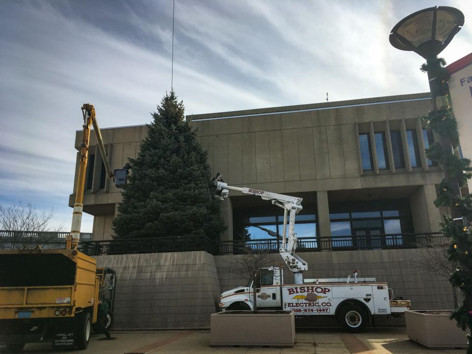 Fall River's new Christmas tree is set in place outside Government Center overlooking Gromada Plaza on Tuesday, Nov. 23, 2021.