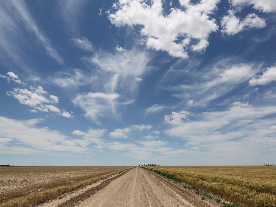 Two wheat fields in Kansas in 2015. The left field died due to no irrigation, the field on the right is irrigated by the Ogallala Acquifer.