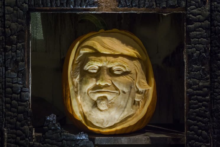 Trumpkin is among the words being considered for inclusion [Guy Bell/REX/Shutterstock]