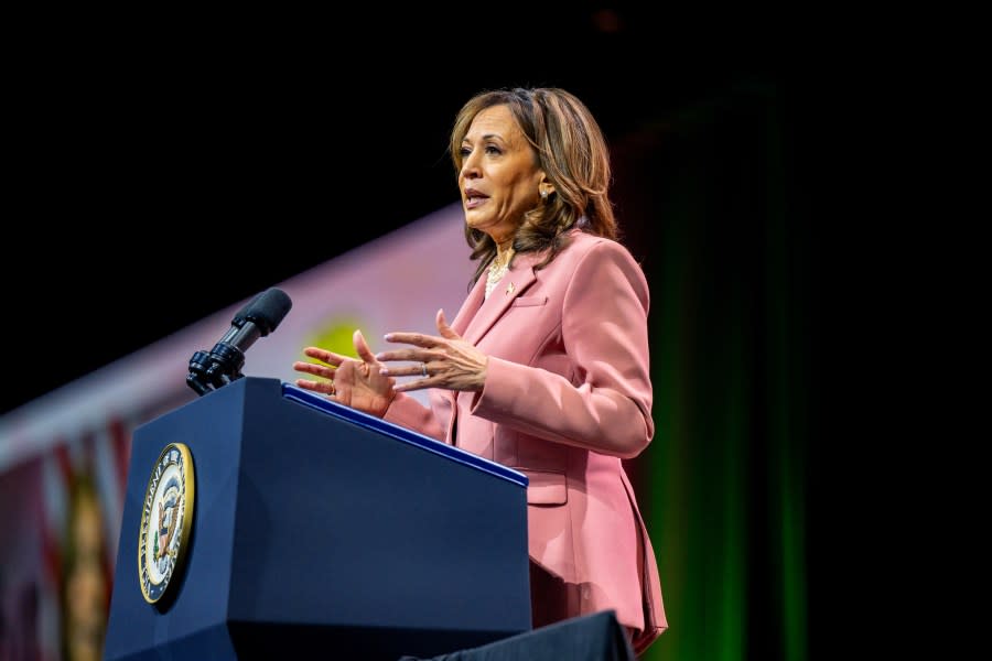 DALLAS, TEXAS – JULY 10: U.S. Vice President Kamala Harris speaks to Alpha Kappa Alpha Sorority members at the Kay Bailey Hutchison Convention Center on July 10, 2024 in Dallas, Texas. The Vice President spoke to approximately 20,000 members from her sorority in a continued effort to rally support ahead of the upcoming November Presidential election. (Photo by Brandon Bell/Getty Images)