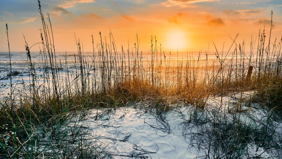 The Cumberland Island National Seashore sits off the coast of Georgia. - Michael Shi/Moment RF/Getty Images