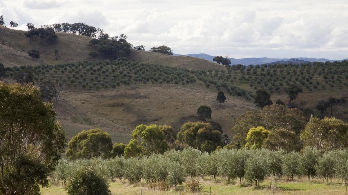 Earthquake hits northern Canberra in the early hours – Yahoo News