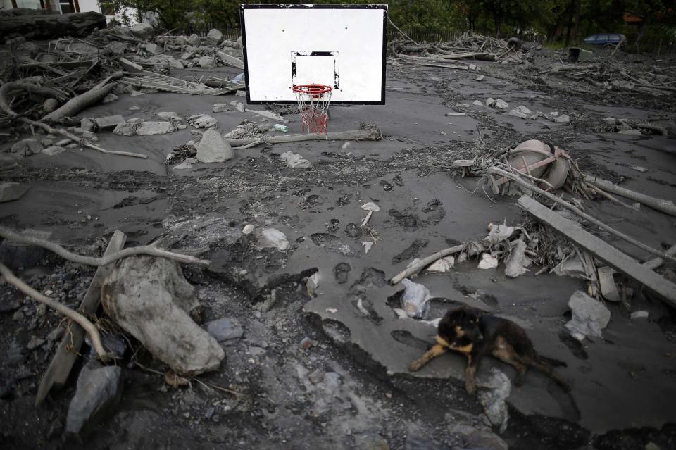 A dog sits on a flood-damaged basketball court in Topcic Polje