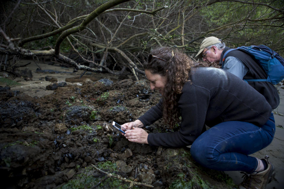 This photo taken April 4, 2018 provided by the California Academy of Sciences shows users of the mobile app iNaturalist documenting wildlife on Yerba Buena Island in the San Francisco Bay Area. (Kathryn Whitney/California Academy of Sciences via AP)